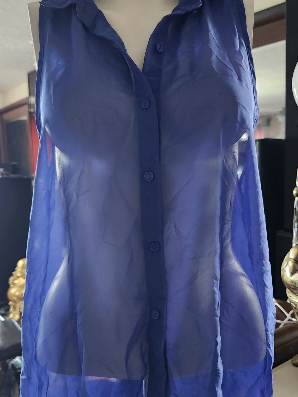 Bluenotes Sheer Sleeveless Button-Front Blouse in Royal Blue